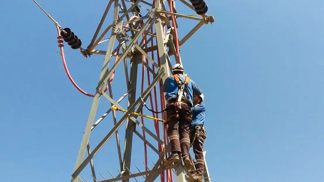 Fırat EDAŞ, kesintisiz enerji arzını ve leylekleri güvence altına alıyor
