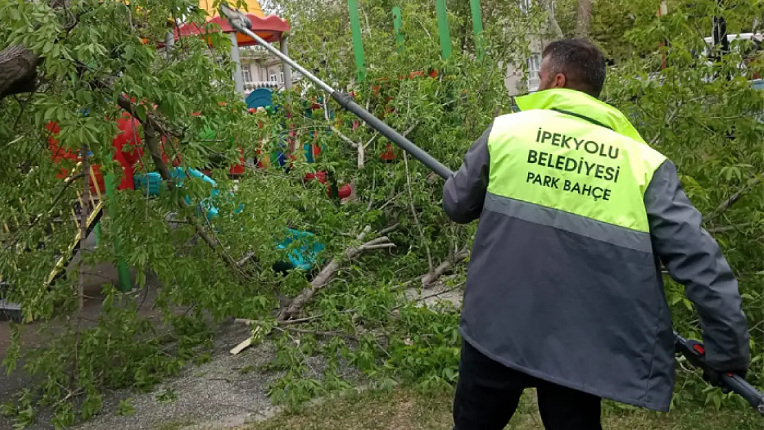 Fırtınanın zarar verdiği parklarda bakım onarım çalışması