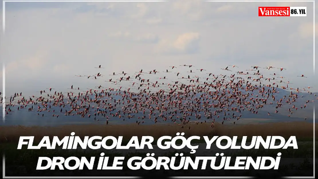 Flamingolaron göç yolculuğu dron ile görüntülendi