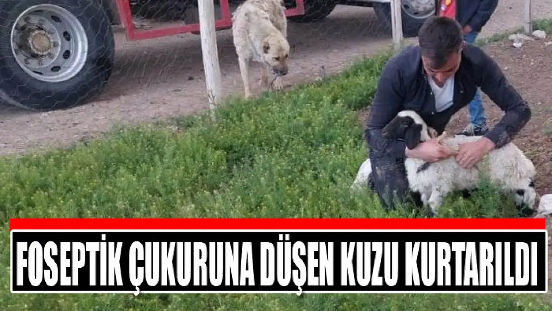 Foseptik çukuruna düşen kuzu kurtarıldı