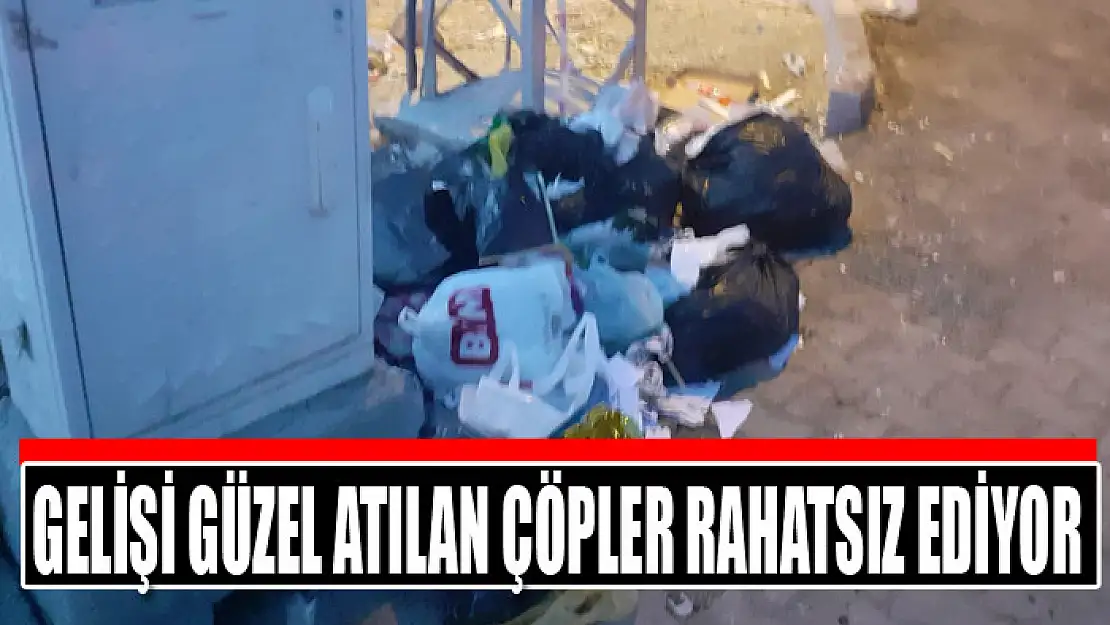 Gelişi güzel atılan çöpler rahatsız ediyor