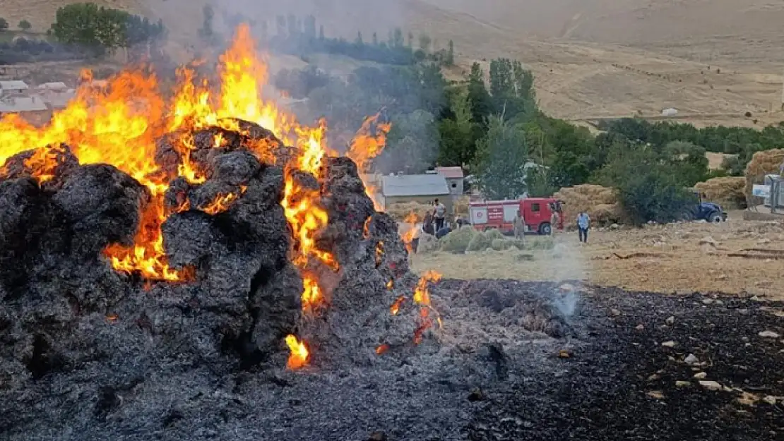 Gevaş'ta ot yangını