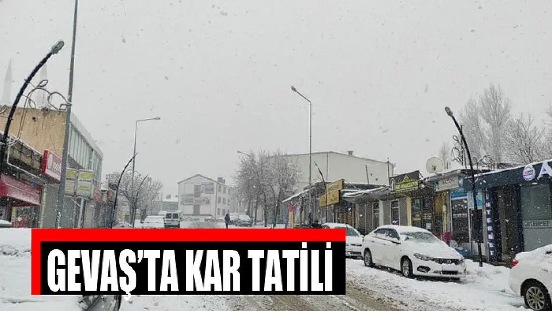 Gevaş'ta kar tatili