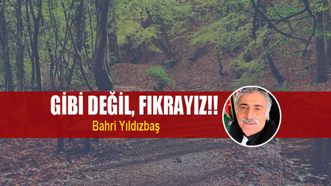 Gibi Değil, Fıkrayız!!