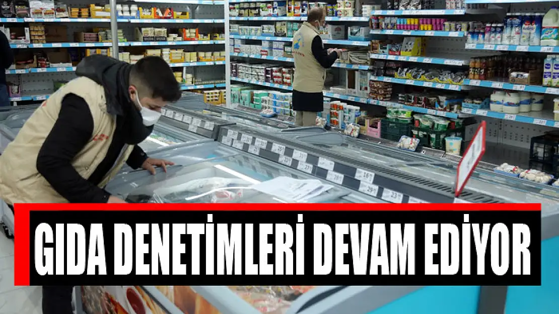 GIDA DENETİMLERİ DEVAM EDİYOR