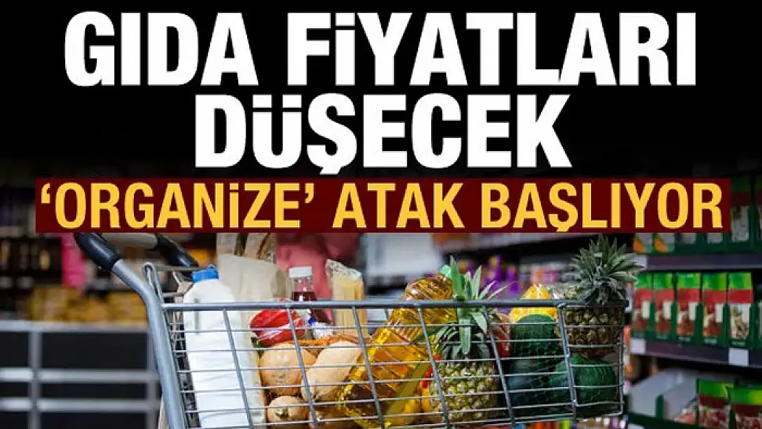 Gıda fiyatlarını düşürecek hamle