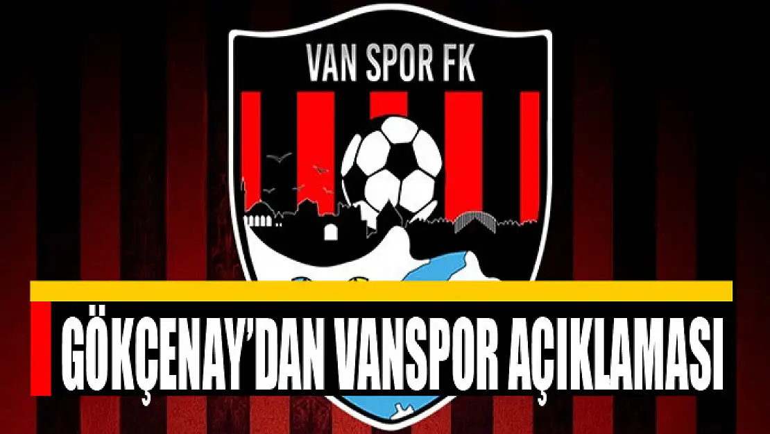 Gökçenay'dan Vanspor açıklaması