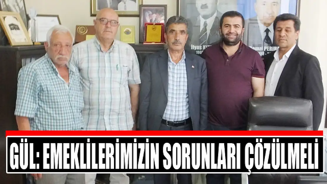 Gül: Emeklilerimizin sorunları çözülmeli