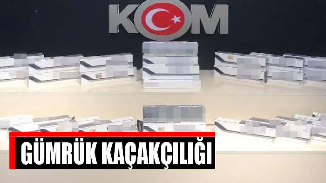 Gümrük kaçakçılığı