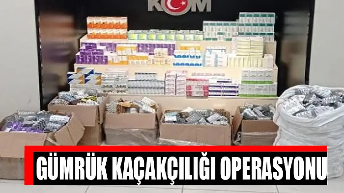 Gümrük kaçakçılığı operasyonu