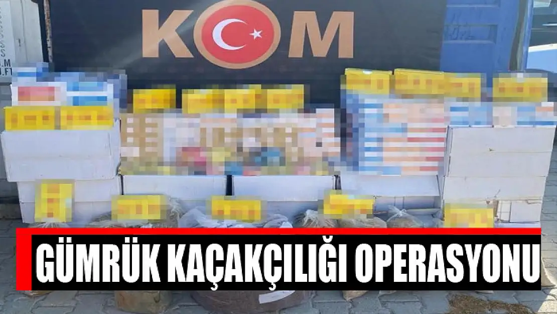 Gümrük kaçakçılığı operasyonu