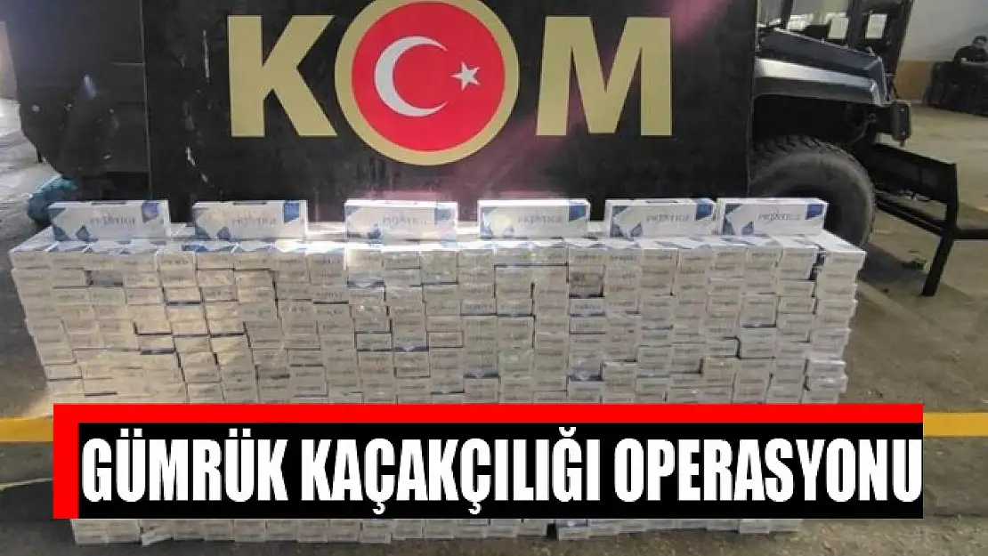 Gümrük kaçakçılığı operasyonu