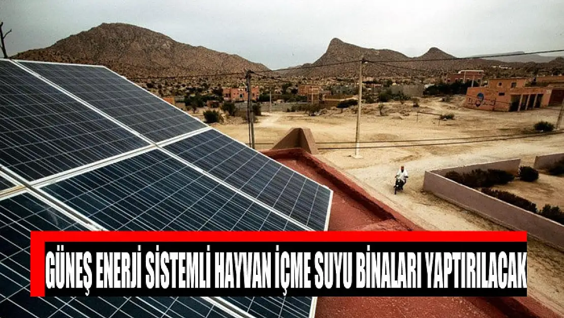 Güneş enerji sistemli hayvan içme suyu binaları yaptırılacak