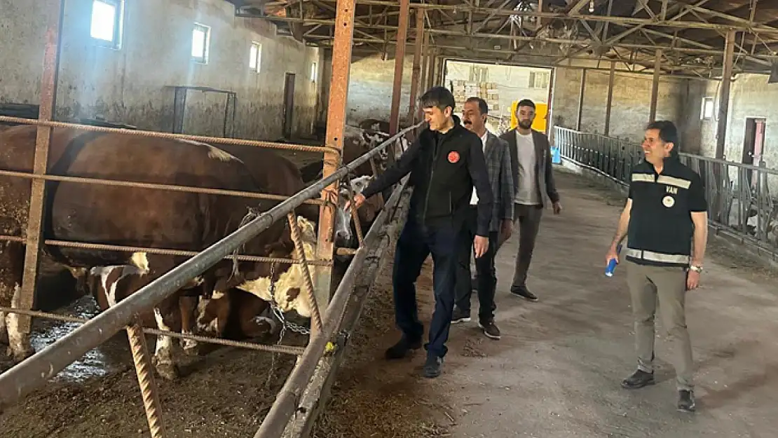Gürpınar'da büyükbaş hayvan işletmesine destek ziyareti