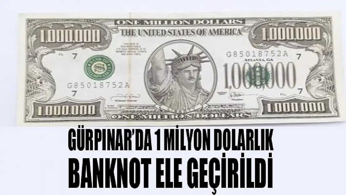 Gürpınar'da 1 milyon dolarlık banknot ele geçirildi