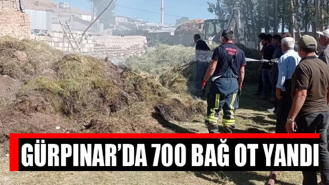 Gürpınar'da 700 bağ ot yandı