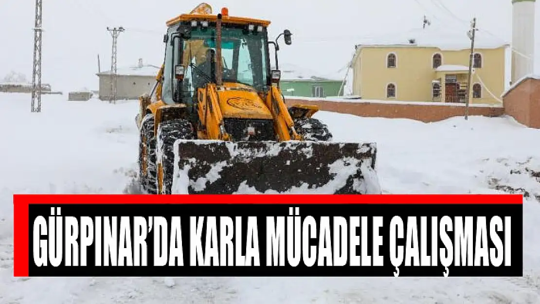 Gürpınar'da karla mücadele çalışması