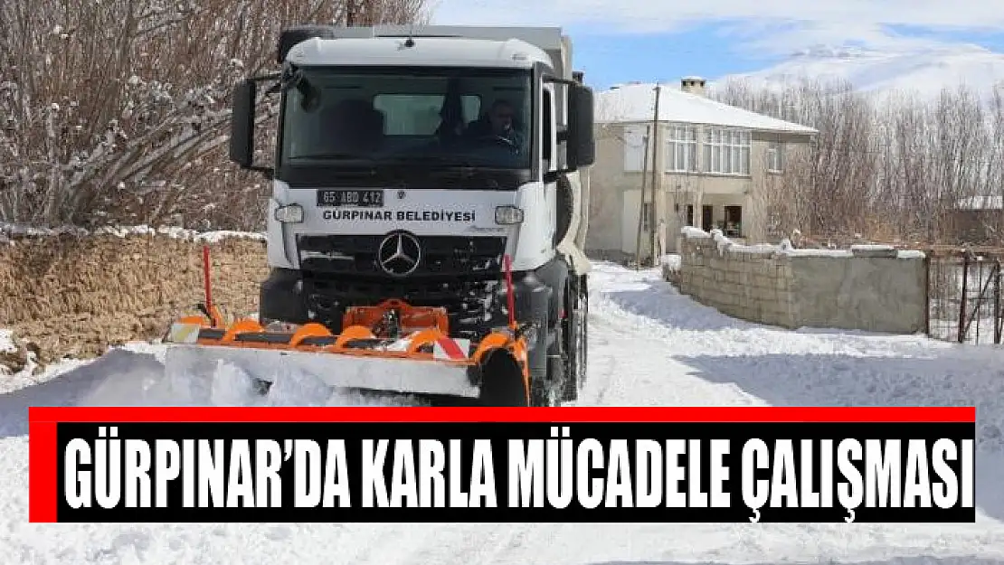 Gürpınar'da karla mücadele çalışması