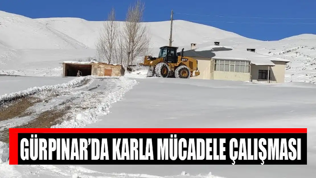 Gürpınar'da karla mücadele çalışması