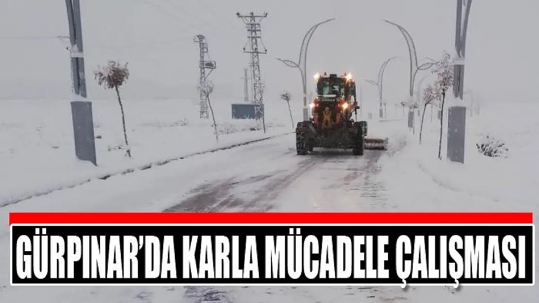 Gürpınar'da karla mücadele çalışması