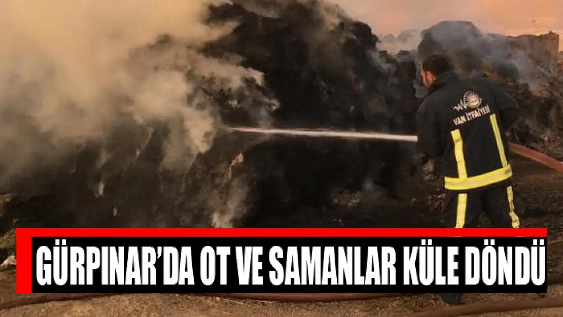 Gürpınar'da ot ve samanlar küle döndü