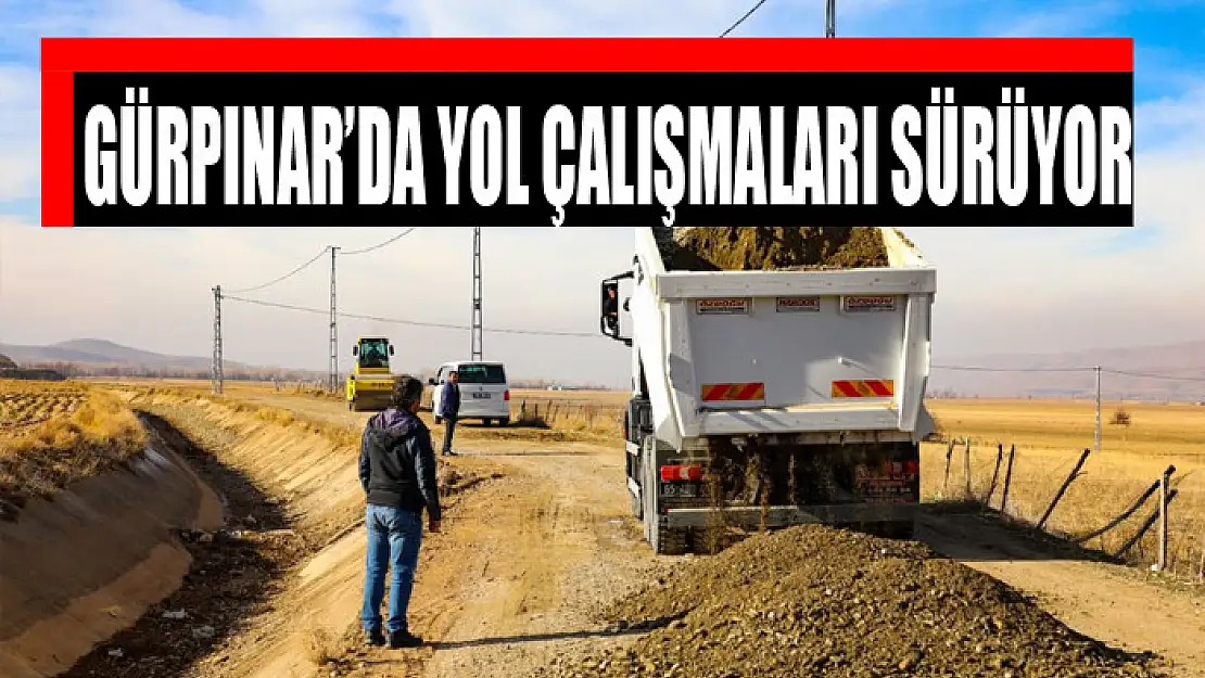 Gürpınar'da yol çalışmaları sürüyor