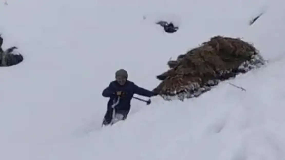 Hakkari'de besicilerin zorlu kış mesaisi