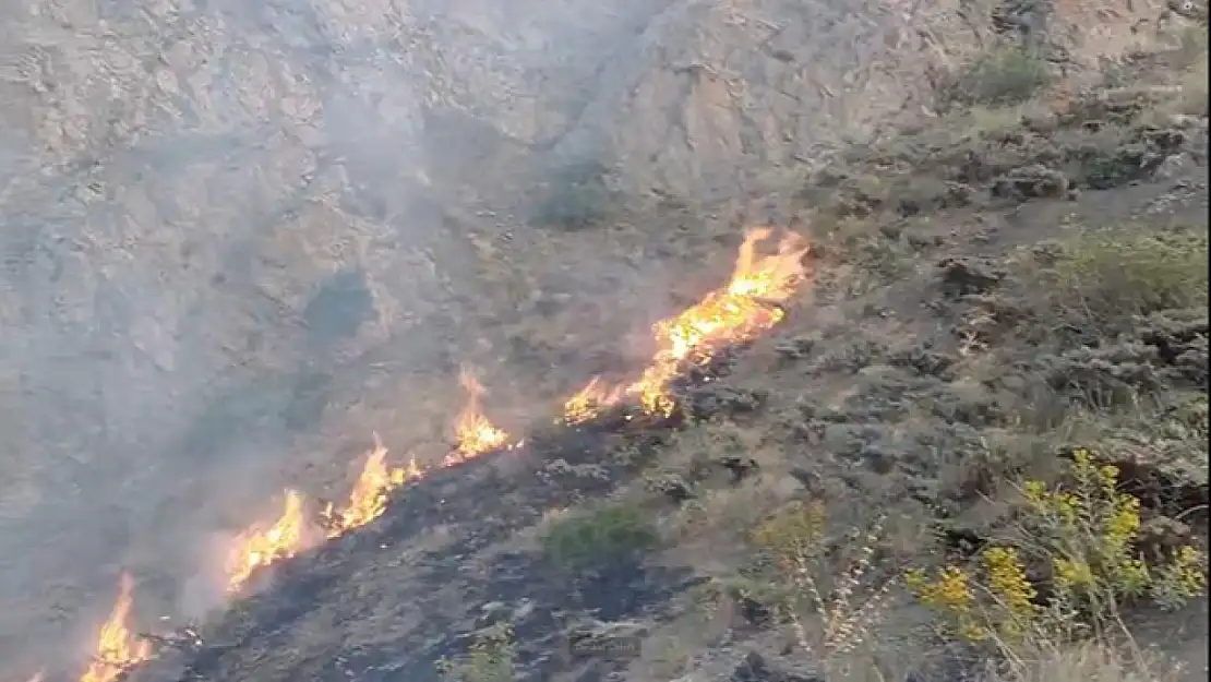 Hakkari'de hafta sonu 14 yangına müdahale edildi