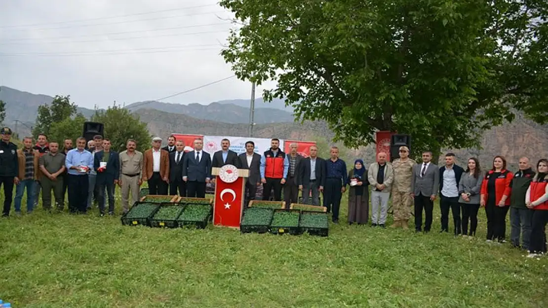 Hakkari'de üreticiye fide desteği