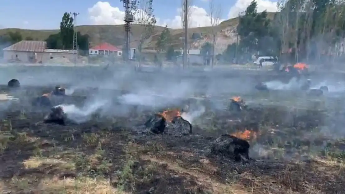 Hakkari'de yaklaşık bin 500 bağ ot kül oldu