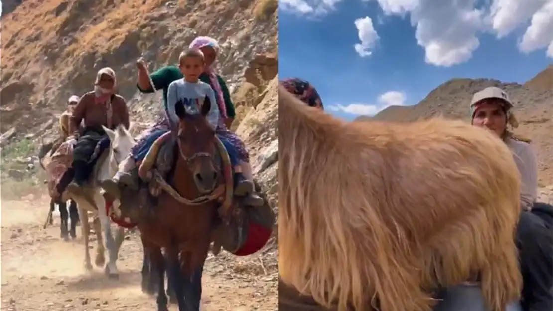 Hakkari Valiliğinden Berivan paylaşımı