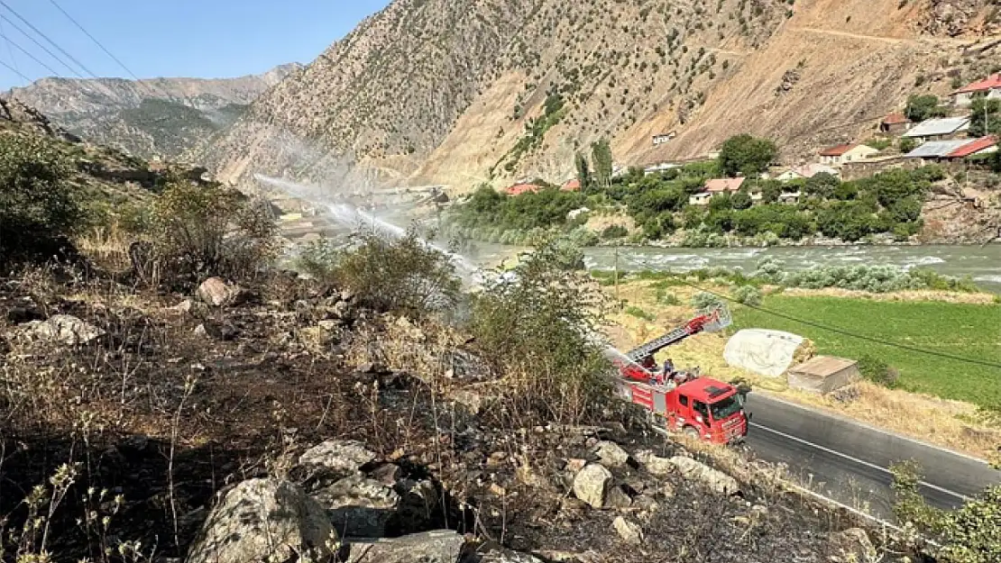 Hakkari-Van kara yolu yakınında anız yangını