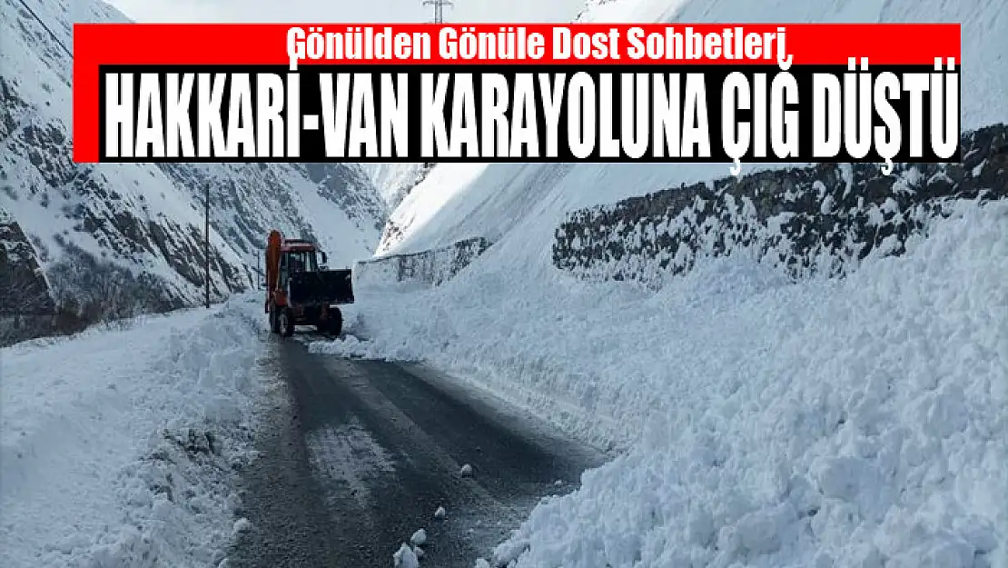 Hakkari-Van karayoluna çığ düştü