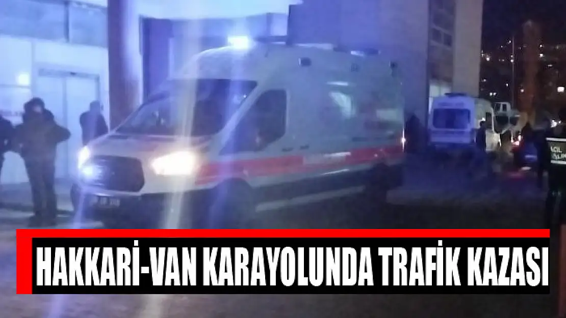 Hakkari-Van karayolunda trafik kazası