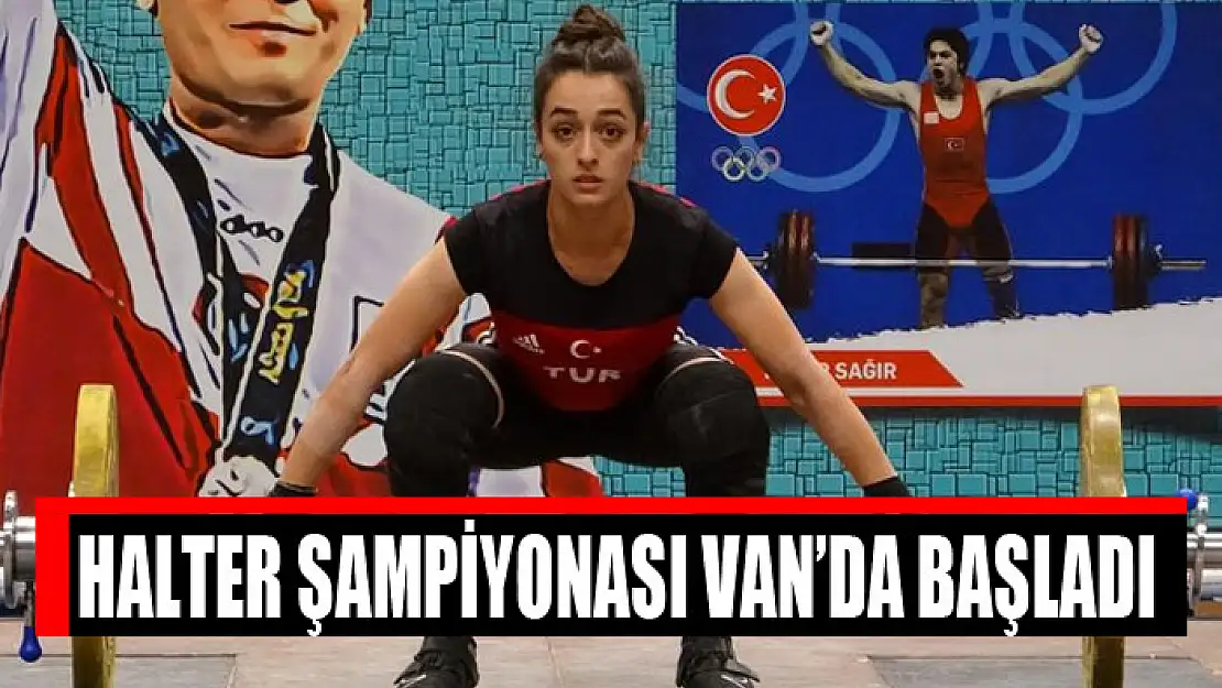 Halter şampiyonası Van'da başladı