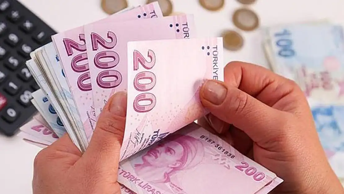 Hanehalkı ikinci çeyrekte seyahate 103 milyar 114 milyon 141 bin TL harcadı