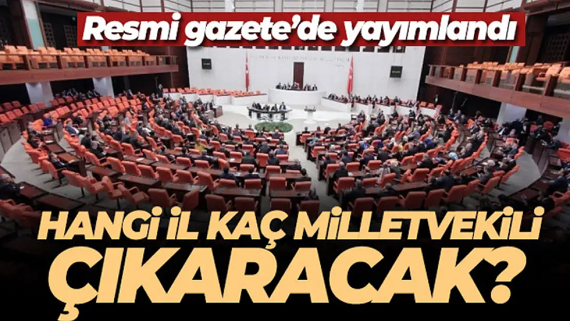 Hangi il kaç milletvekili çıkaracak? Resmi Gazete'de yayımlandı!