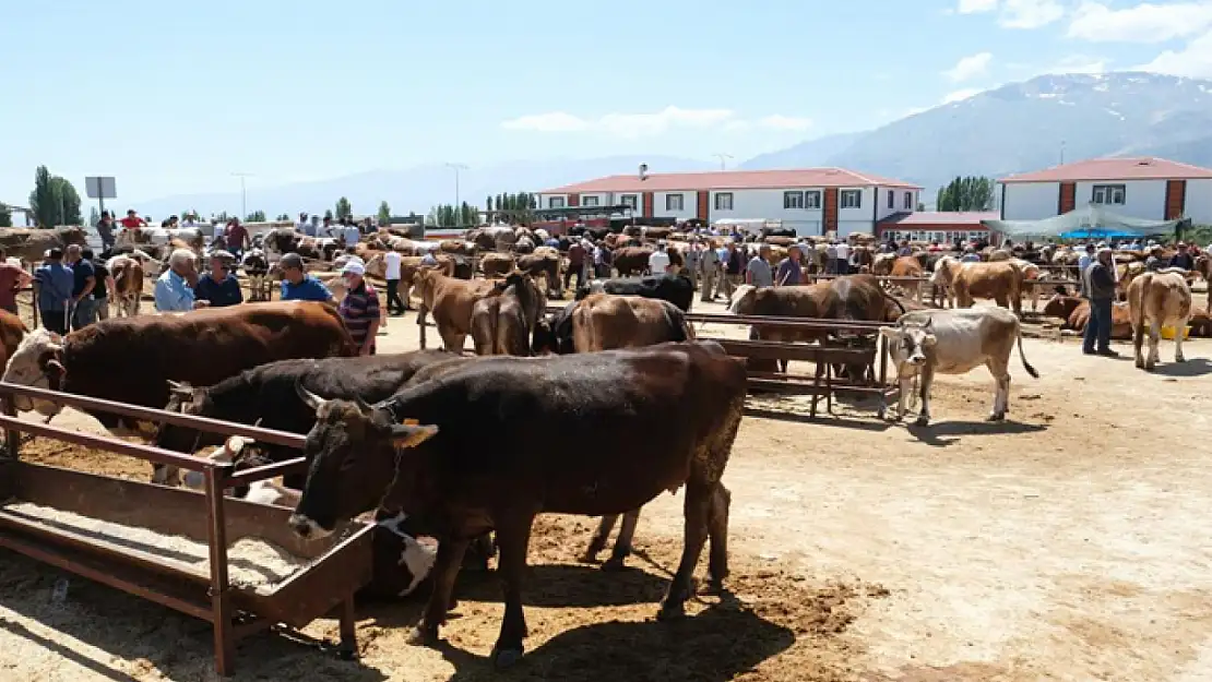 Hayvan pazarında şap karantinası