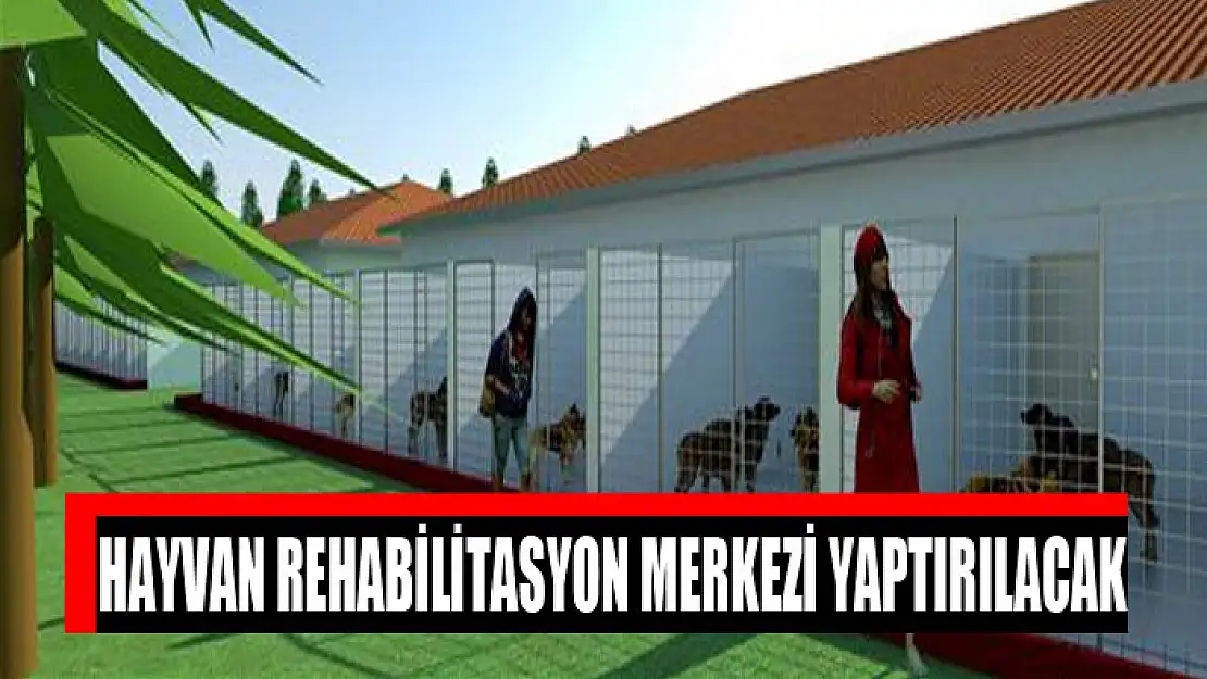 Hayvan rehabilitasyon merkezi yaptırılacak