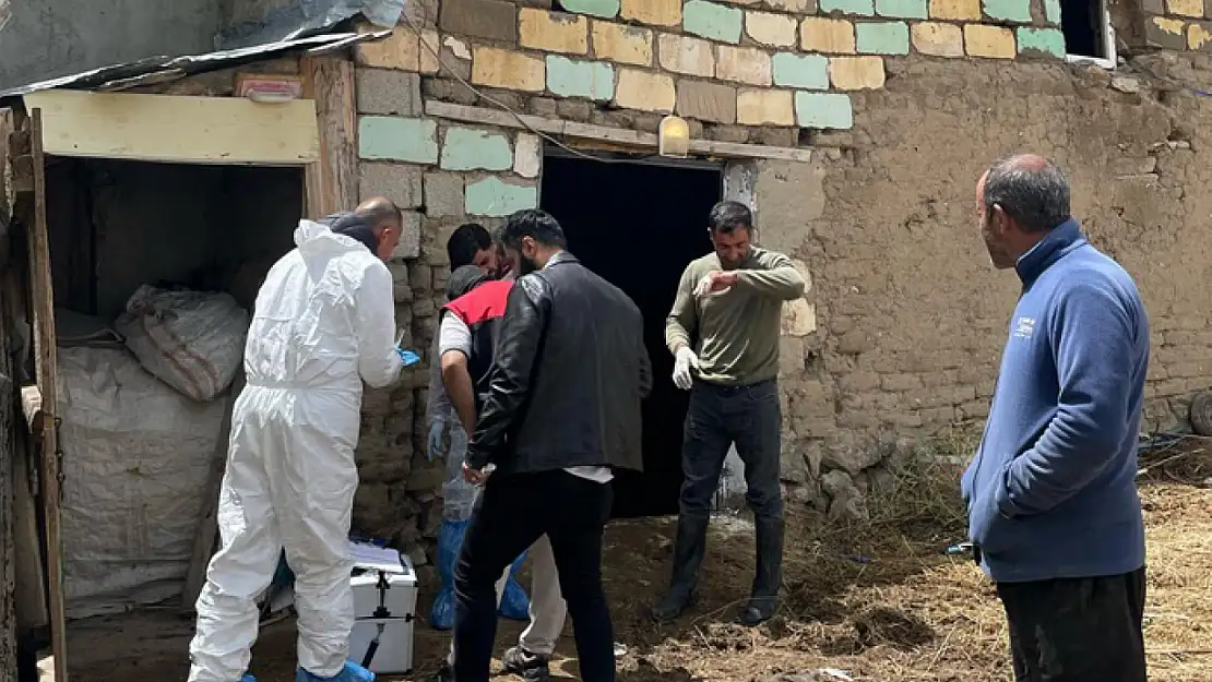 Hayvan yetiştiricilerine şap hastalığı anlatıldı