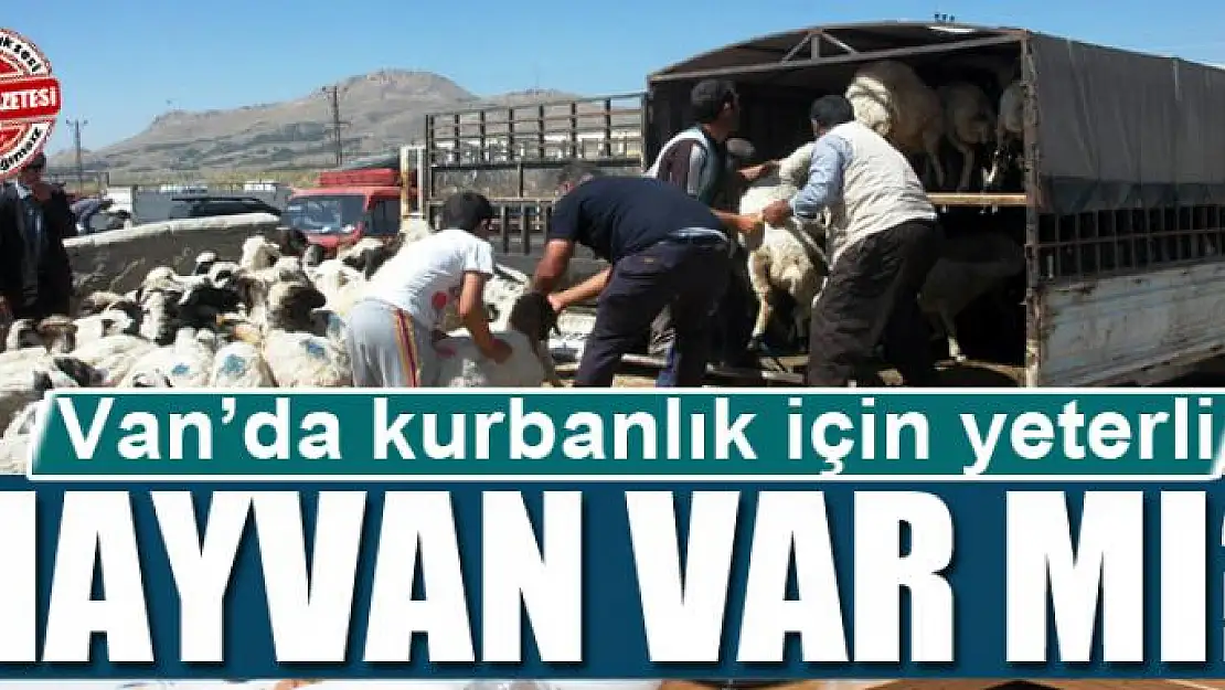 Van'da kurbanlık için yeterli hayvan var mı?