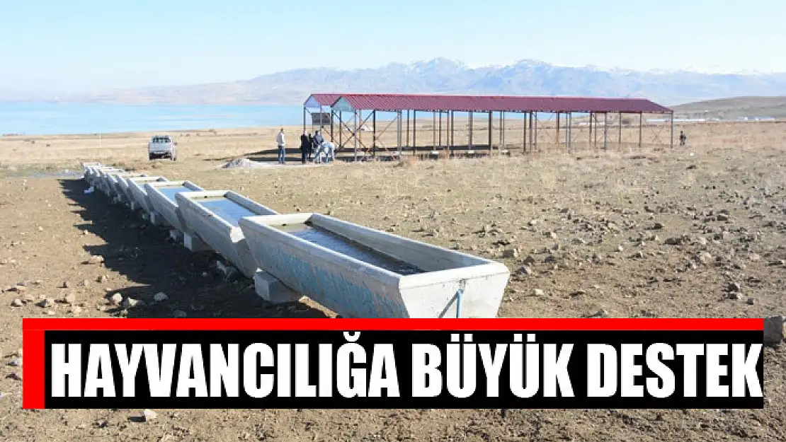 Hayvancılığa büyük destek