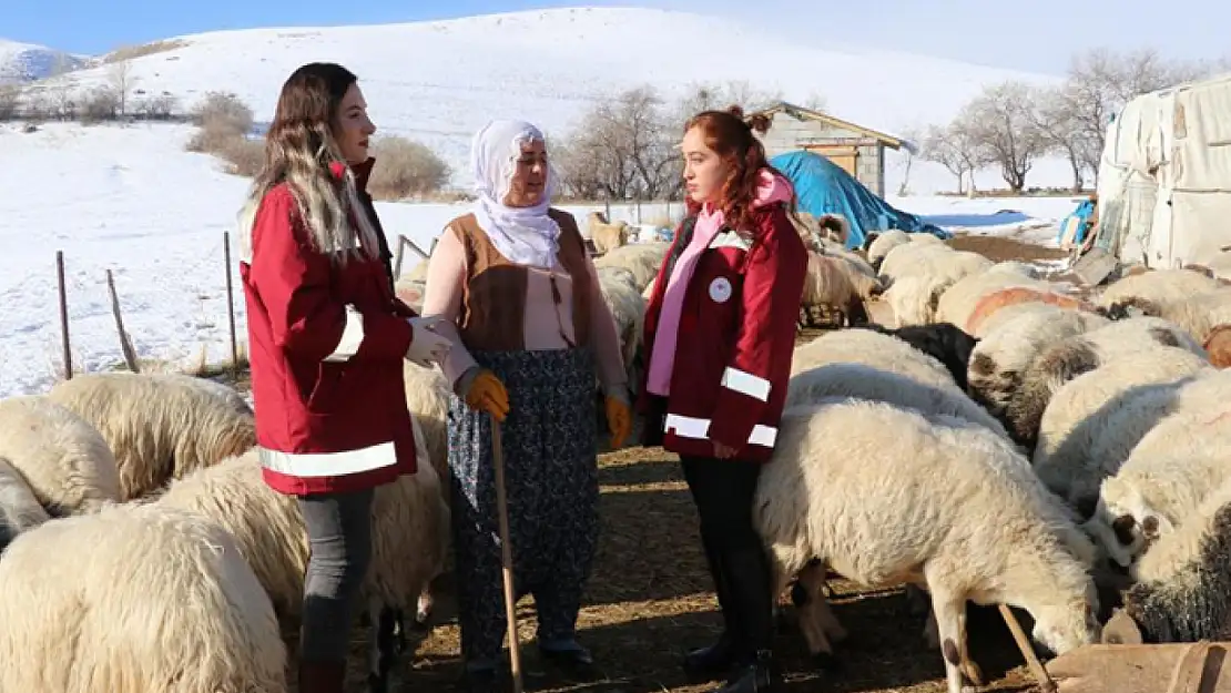 Hayvancılığa kadın eli değdi