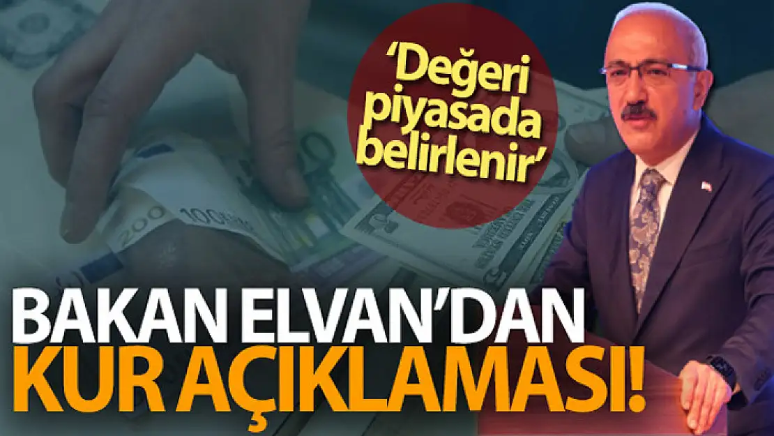 Hazine ve Maliye Bakanı Lütfü Elvan'dan kur açıklaması!