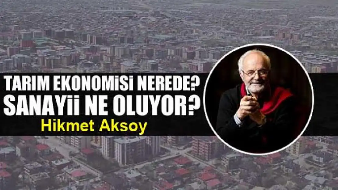 Tarım ekonomisi nerede? Sanayii ne oluyor?