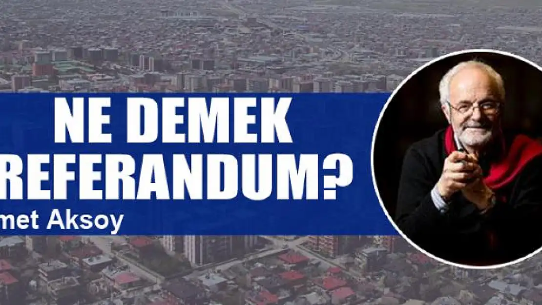 Ne demek  referandum?