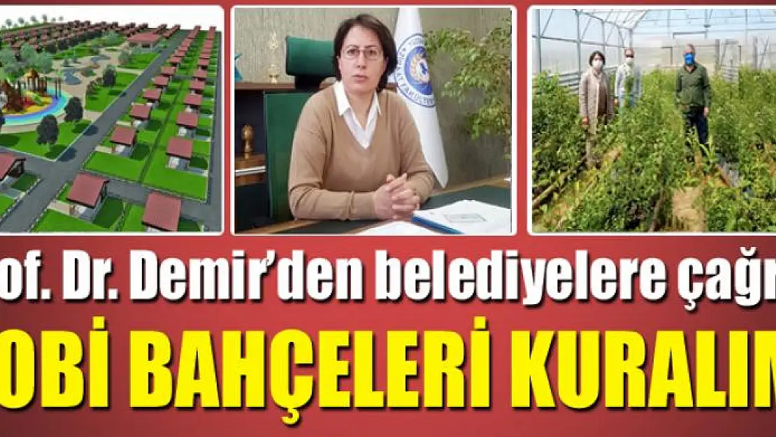 HOBİ BAHÇELERİ KURALIM