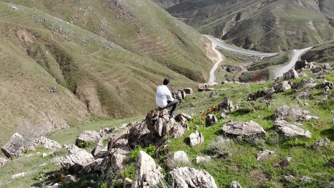 Huzur veren tepede ters lale güzelliği