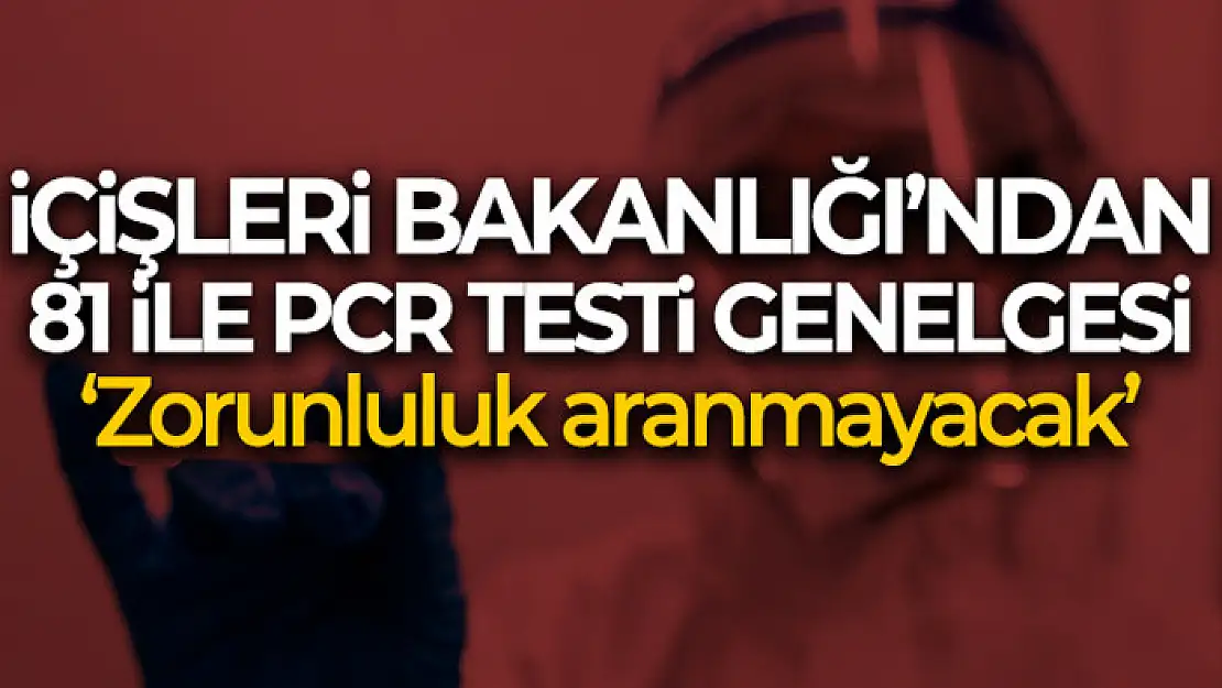 İçişleri Bakanlığı'ndan PCR testi zorunluluğu açıklaması