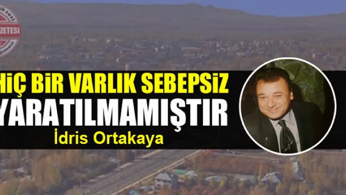 Hiç bir varlık sebepsiz yaratılmamıştır